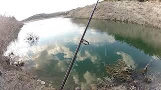 Largemouth bass fishing Cyprus!!