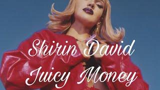 Shirin David - Juicy Money ( lyrics )