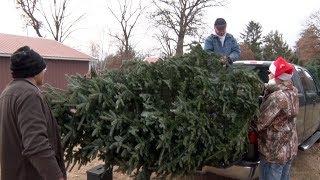 Northwoods Adventure: Family Tradition Makes JB Tree Farm A Great Place To Find A Christmas Tree