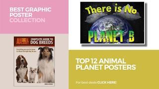 Top 12 Animal Planet Posters // Best Graphic Poster Collection