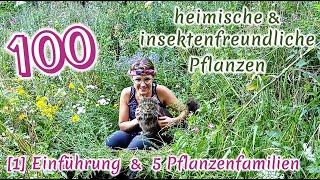 100 heimische & insektenfreundliche Pflanzen [1/4]: Einführung & 5 Familien inkl. Bestäuber-Wissen