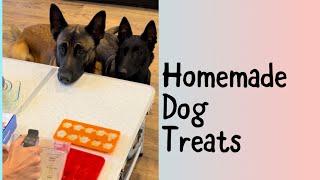 Homemade Dog Treat Kit  #smartdog #smartdog #dogtreats #belgianmalinois