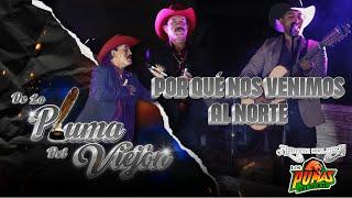 Que Por que Nos Venimos al Norte (En Vivo) - Ramon Balver y Los Pumas del Norte