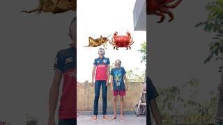 big brother & small brother crab, insects, eating funny vfx magic video | Farhan Shaikh vfx #shorts