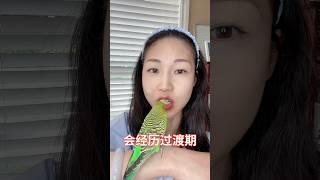 鹦鹉妈妈讲解 [ 生酮饮食和断食会遇到哪些问题？］ #shorts #柏格医生dr #berg #parrot #生酮饮食 #keto