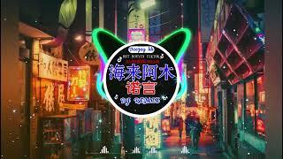 全中文DJ舞曲夜店混音舞曲串烧 2024酒吧最火DJ舞曲 : 范茹 - 海来阿木 - 诺言 / 卜卦 - 崔子格 / 我的好兄弟 - 高进& 小沈阳Chinese Song Remix 2024