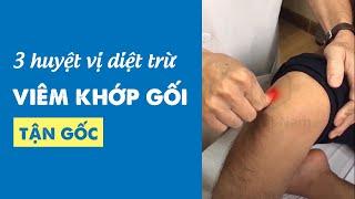 Bấm Huyệt Trị Viêm Khớp Gối Tại Nhà Đơn Giản Ai Cũng Làm Được | An Cốt Nam