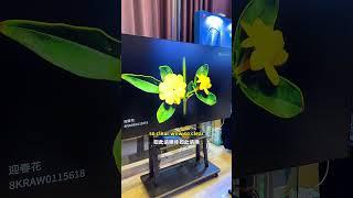 Interactive Flat Panel  Digital Board For Classroom - Smart Board Join Us to Become distributors