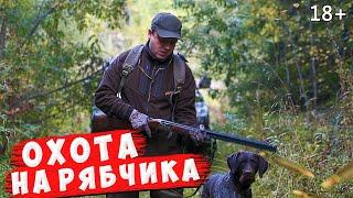 Охота на рябчика с Дратхааром.  Ответ @MyVariedLife по Охоте на медведя.