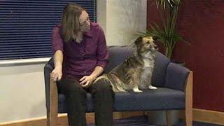 Dog training: redirecting unwanted behaviour