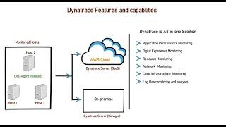 What is Dynatrace and How its features can help you to minimize application downtime
