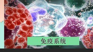 习什么是免疫系统的视角概述  Immune System (Chinese) 在四分钟内