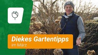 Diekes Gartentipps im März