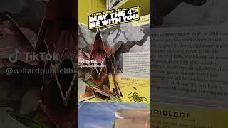 Star Wars at Willard Public Library