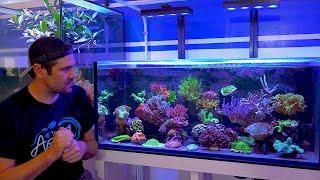 The 'Kitchen Sink' Reef Tank  - 100 gallons of Diverse Corals