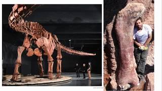 Sauropods: Titans of the Mesozoic