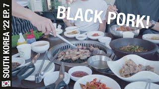 We tried JEJU BLACK PORK...   (Waterfalls, Osulloc/Innisfree, Yongmeori Coast)