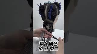 국가자격증 준비! 스파니엘 커트 쉽게 따라하기‍️‍️ l 올댓뷰티아카데미