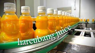 100% 착즙 주스를 전국으로 보내는 제주공장을 소개합니다. 100%  juice that contains the fresh taste and aroma of Jeju.