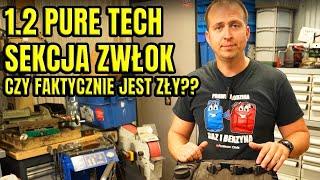 1.2 PURE TECH, SEKCJA SILNIKA, ANALIZA USZKODZEŃ