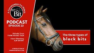 Bit By Bit Episode 13- The three types of rubber block horse bits