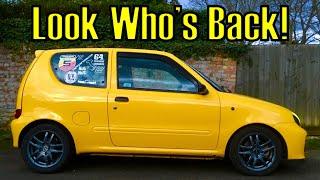 Super Seicento Is BACK!