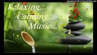 Ashish -ForestFall || Mind relaxing Instrumental|| Jeet Music World #meditationmusic #relaxmindbody