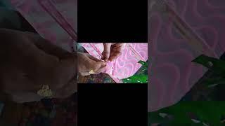 cellophane sheet_mehandi cone making