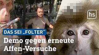 Tierversuche mit Affen: Wie es in einem Frankfurter Institut aussieht | hessenschau