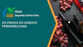 A Força do Agro - Produção vinícola no semiárido brasileiro