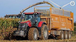  ENSILAGE en 10 RANGS par la SARL Giffard TA-TP Harault & Rivière