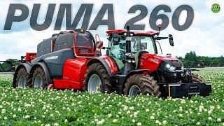 Was ein fettes Gespann Neuer Puma 260 vor HORSCH Leeb 12 TD! Bauer Struck in 4K