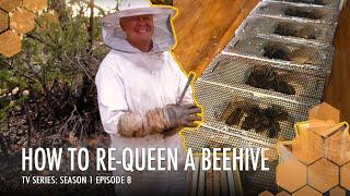 Shopping Queen | The Bush Bee Man TV Series: Season 1 Episode 8