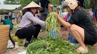 Harvesting cowpeas to sell at the market, gardening and taking care of pigs