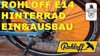 Rohloff E14 Ein und Ausbau. Nordbikes Velo de Ville SEB 990