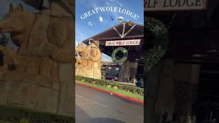 🪞🪩! @greatwolflodge  #preppy #fyp #viral #blowup #waterpark #travel #trend #fy #aesthetic