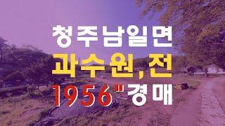 청주토지 남일면 두산리 토지 1965평 4필지  매매보다 경매물건 - 무료상담 | 청주경매 하나로 강실장