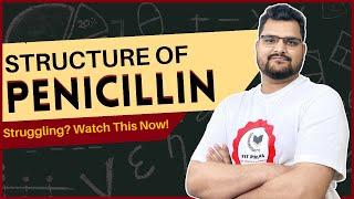 Penicillin’s House Tour: What’s Inside This Bacteria Killer?