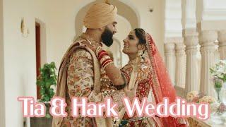 Our Wedding in Jaipur, India | Most Emotional Wedding Highlight