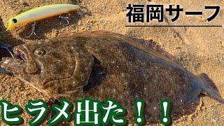 【サーフ釣り】朝マズメの一投目で奇跡が！！今シーズン初のヒラメと可愛い奴！？#福岡釣り