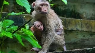 libby took care of her baby, took her to sit in the rain sweet mom    sweet rain ?