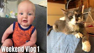 Weekend Vlog 1 | We Introduce the Two Newest Members of Our Family