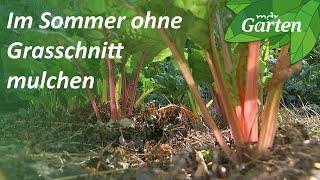 Laub und getrocknete Pflanzenreste als Mulch im Sommer nutzen | MDR Garten