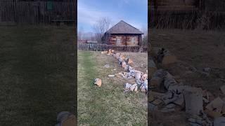 В день рождения в деревню. Полное видео через пару дней#домуозера #деревня #дача