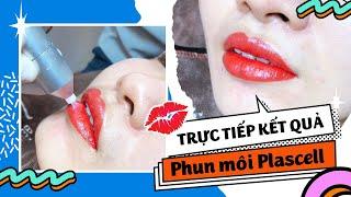 Trực tiếp quá trình Phun môi Plascell