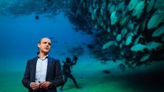 Let's turn the high seas into the world's largest nature reserve | Enric Sala