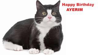 Ayerim  Cats Gatos - Happy Birthday