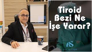 Tiroid Bezi Ne İşe Yarar? Op. Dr. Aytaç Sayın