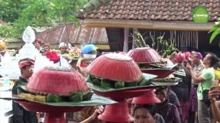 Tradisi Umat Hindu Dan Muslim Di Lombok Untuk Saling Bersilaturahmi Dalam Budaya Perang Topat