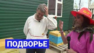Разведение пчел: Подворье (18.06.21)